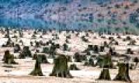 Beaming images of shocking environment on the planet
