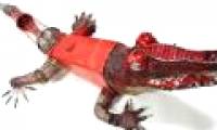 Beautiful animal model from scrap