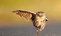 Beautiful photo: The figure of the