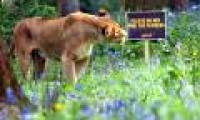 Beautiful photos: Summer vacation animals