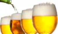 Beer helps civilization grow faster
