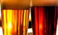 Beer will be cheaper and more charming thanks to artificial yeast