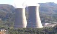 Being near an atomic power plant can cause leukemia