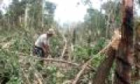 Binh Phuoc: Hail, tornadoes cause great damage