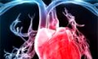 Biological heart rhythm by gene therapy