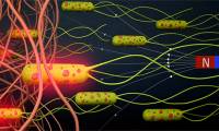Biological robots could 'revolutionize' the fight against cancer