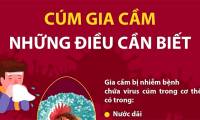 Bird flu and things you need to know