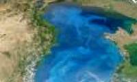 Black Sea is black?