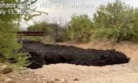 Black, stinking floodwaters appear in the US and scientists warn of a terrifying warning