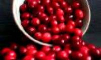Blueberries treat urethritis infections