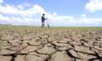 Brazil: The most severe drought in the past half century
