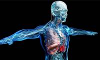 Breakthrough in human cell mapping project