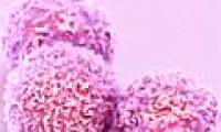 Breakthrough kill metastatic cancer cells