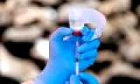 Breakthrough: Scientists claim to have cured Ebola