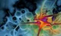 Breakthrough technology prevents metastatic cancer