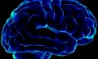 Breakthrough to reproduce the human system