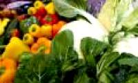 Breakthrough: Vitamin B3 helps prevent fetal malformations and miscarriage