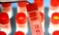 Breeding sperm in the laboratory