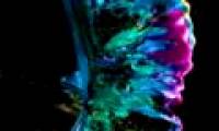 Brilliant moments interfere between science and painting
