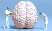 British Doctor Reveals How to Make Your Brain '30-50 Years Younger', So Simple Anyone Can Do It