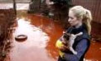 Broken waste reservoir, Hungary declared a state of emergency
