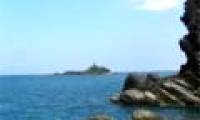 Build 120 houses for aquatic species in coastal areas