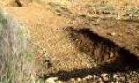 Build a house, shudder to hit 42 bizarre ancient tombs