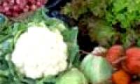 Cabbage, cauliflower can be radioactive