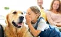 Can AI become a 'translator' and help humans communicate with animals?