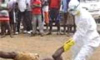 Can Ebola cure with the survivor's blood?