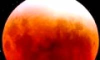 Can observe the half-dark eclipse of the morning of October 19