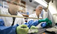 Can plants 'live' on the Moon?