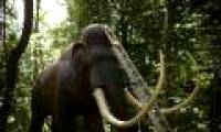 Can revive mammoths