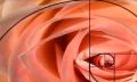 Can we become mathematicians by way of self-study?  (Part 1)