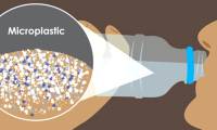 Cancer-causing microplastics appear in men's testicles