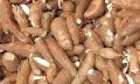 Cassava, star fruit is one of the world's most dangerous foods