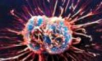 Catch a 'fasting' tumor to kill cancer