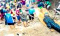 Catch giant crocodile weighing 500kg after finding a human body