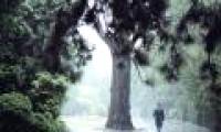 Central Vietnam will have heavy thunderstorms, wind gusts to level 9