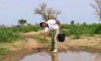 Change the environment to fight malaria