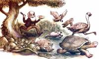 Charles Darwin's strange eating hobby