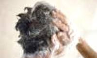Chemicals in soap can make men infertile