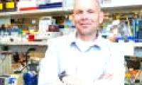 Chemotherapy increases the spread of cancer cells?