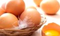 Chicken eggs should not be eaten when there is a fever
