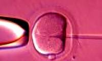 Children are coming from 3 parents