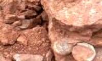 China: Digging soil to build, discovered a series of dinosaur eggs of 145 million years