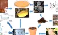 China discovered a fungus capable of