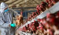 China discovers new flu virus, has the potential to become a pandemic
