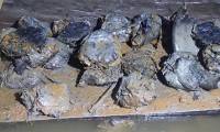 China finds 'treasure' buried on Dragon Boat Festival
