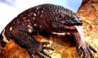 China is about to introduce large animal robots